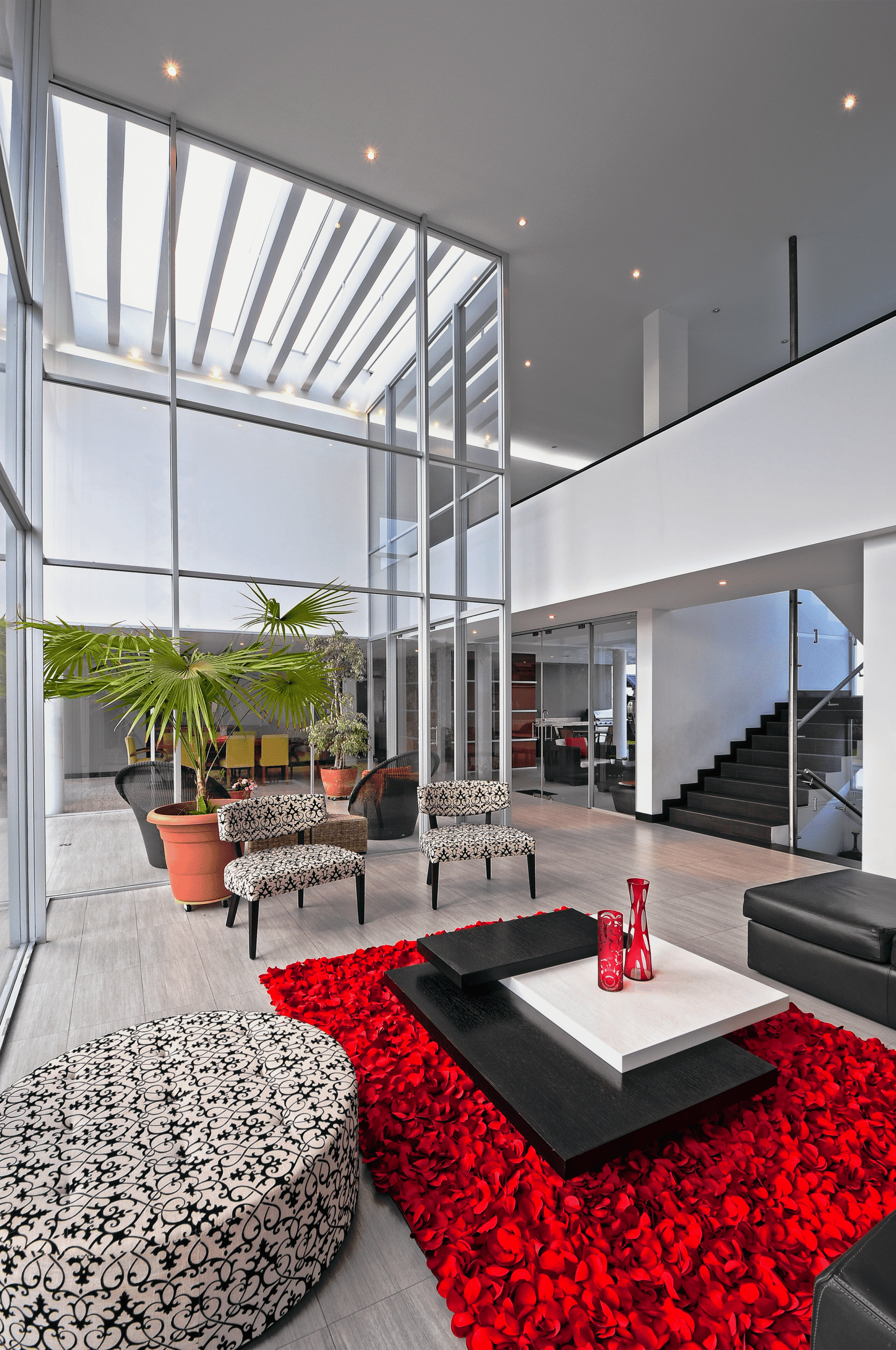 Casa P - Transparencia y Luz
